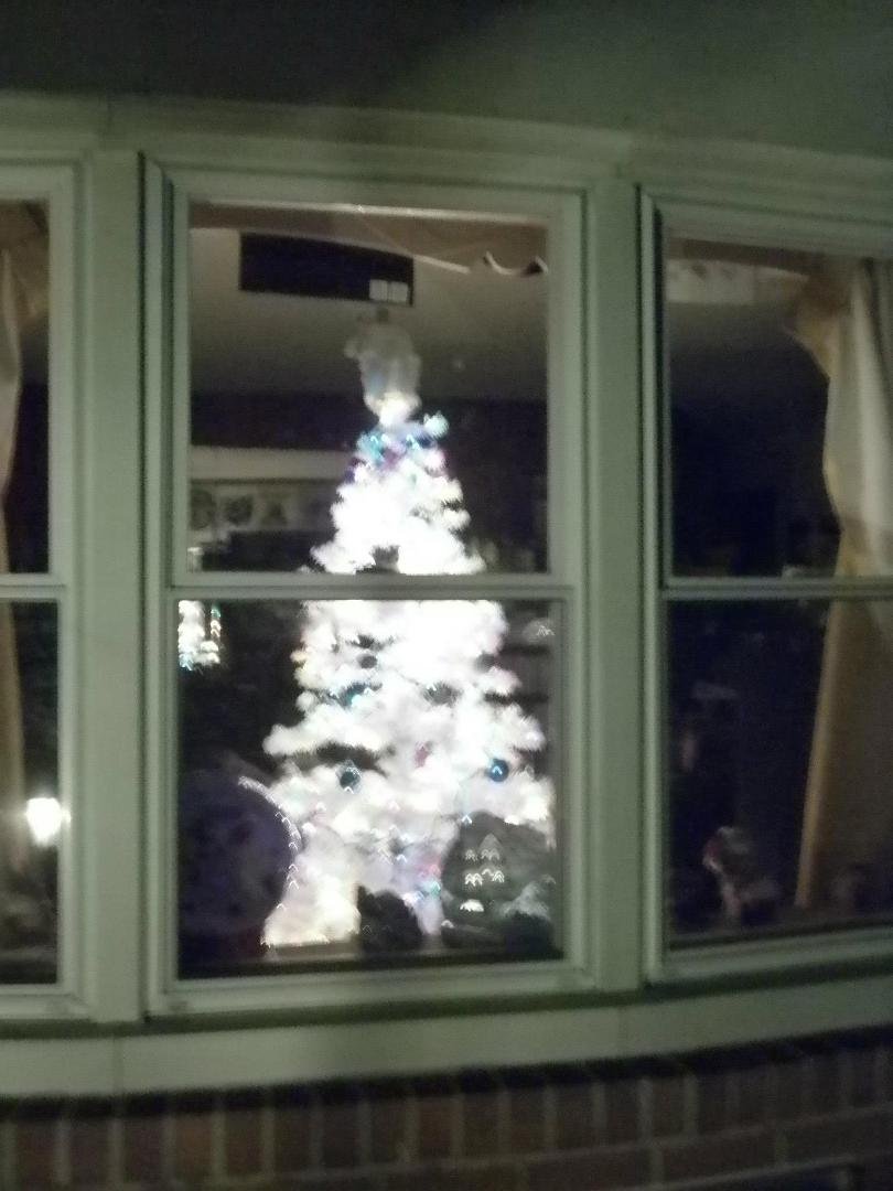 Helen Riddle's album, My & James Christmas tree and some things..2013