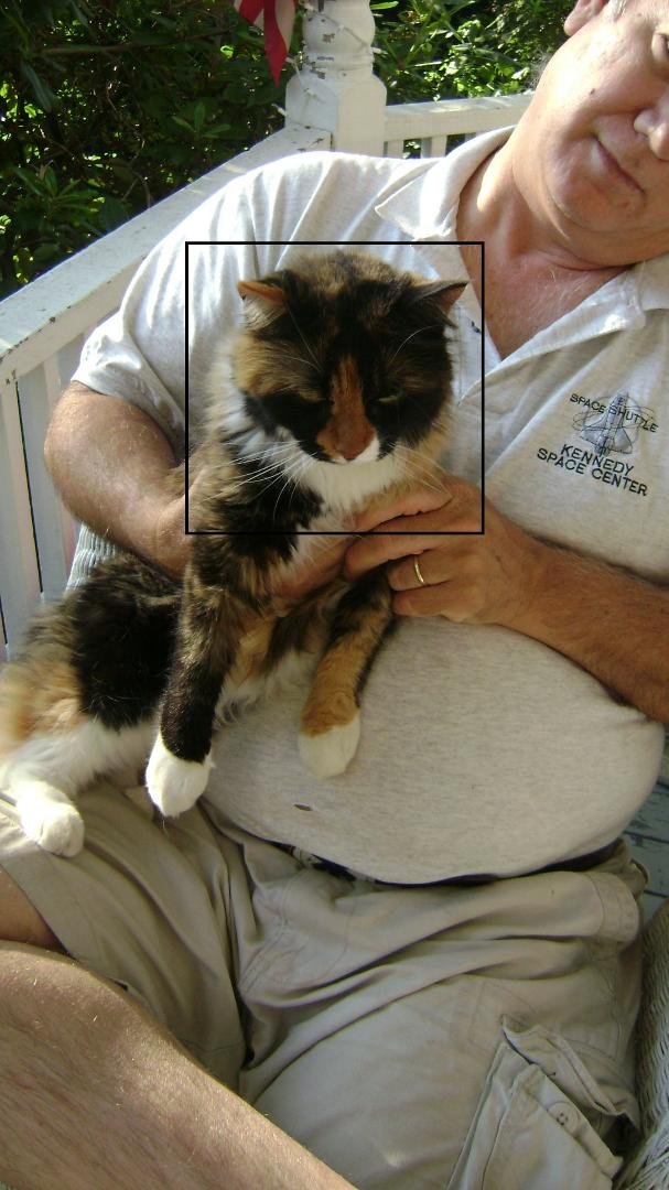a lost cat take has come across our path