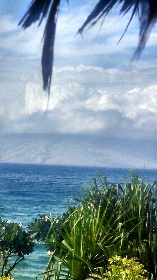 A "little" tropical storm is coming in.