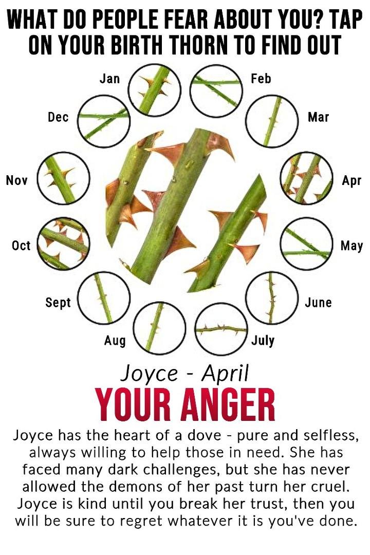 Joyce Magrum's album, Timeline Photos