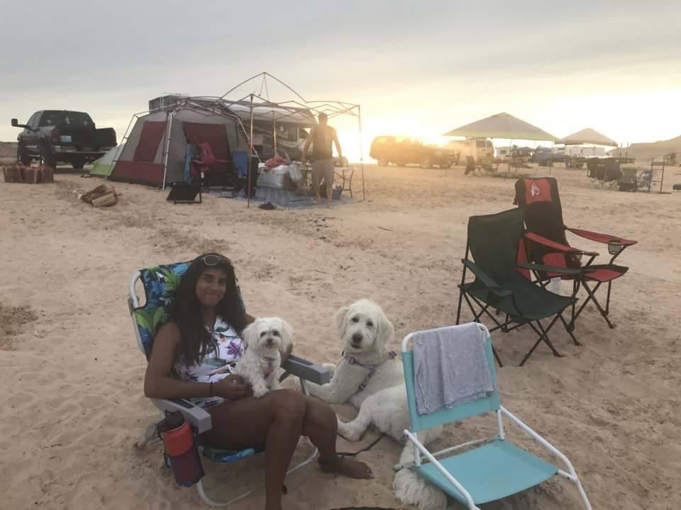 Alis, Harley & Zoey