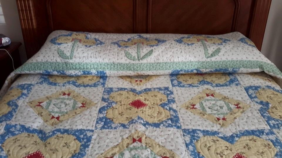 Donna Hall's album, Mobile Uploads
