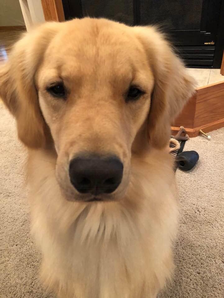 Happy Birthday Cody!!! Two years old today!!!