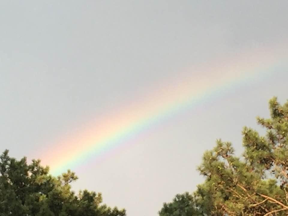 Nancy Marbry's album, Timeline Photos