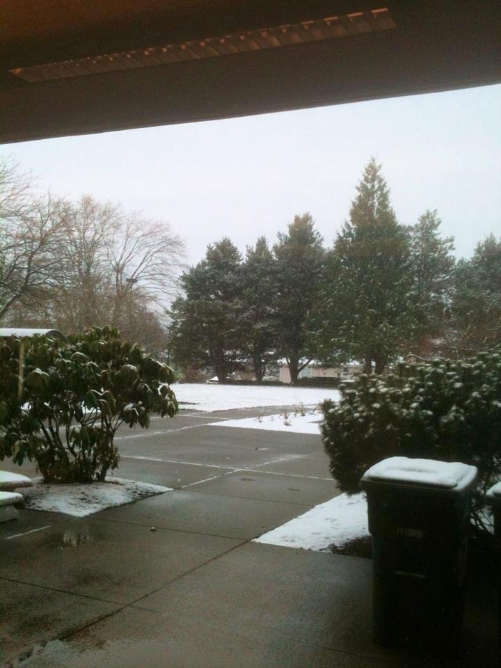 Another burst of snow here in Bellingham.