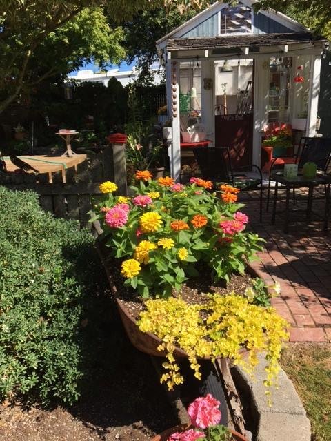 D Breazeale's album, Timeline Photos