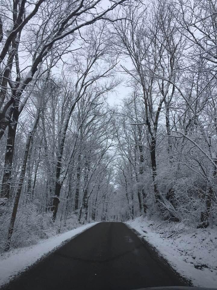2nd day of spring in Ohio!!!