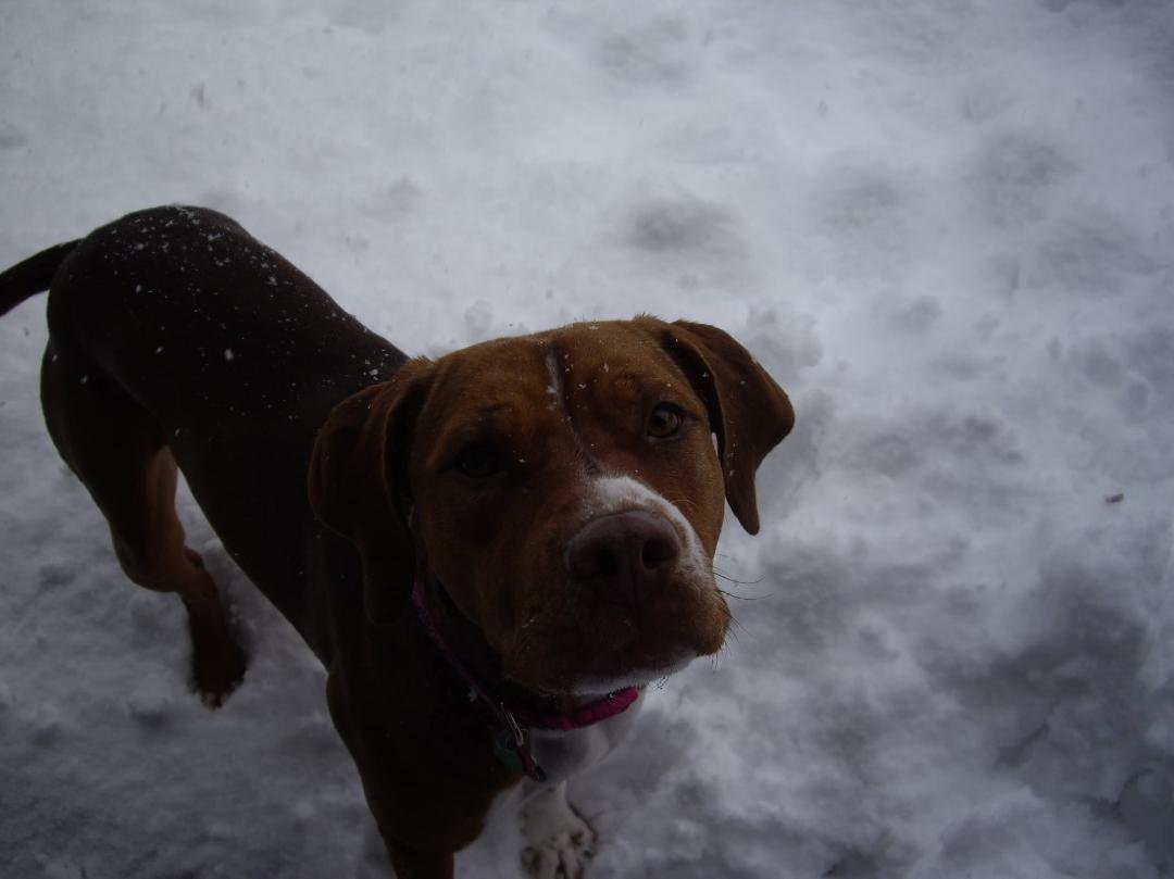 Cindy Beck's album, Timeline Photos