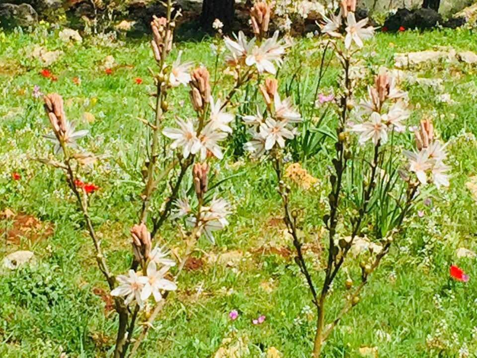 Lila Zur's album, Timeline photos