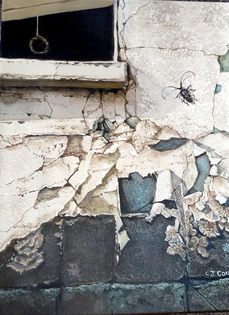 I'm a sucker for walls with layers of peeling paint. This one features the Six Spotted Longhorned Beetle.