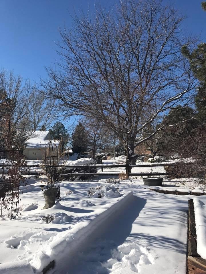 I've got to say.....not much can hold a candle to a quiet winter morning in fresh Colorado snowThose of you who have visited know exactly where I'm sitting at this moment...and I know how blessed I am.