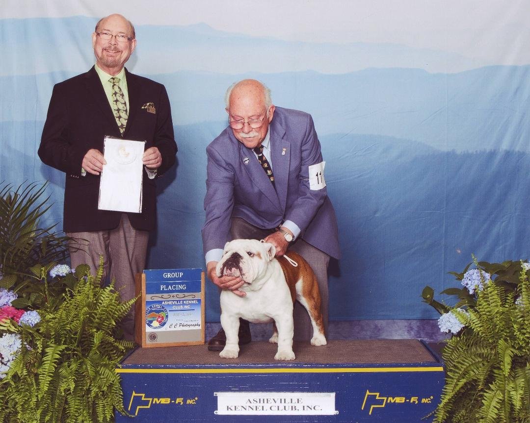 Digby's latest group placement pic. A group 4 Asheville Kennel Club.Very pleased with this 17 month old boy.