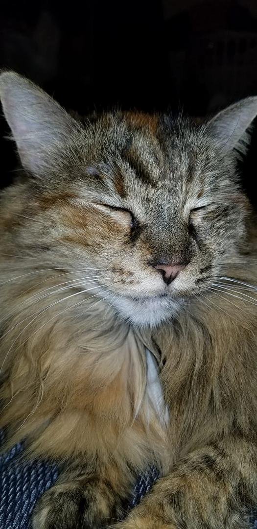 Cuddle time.