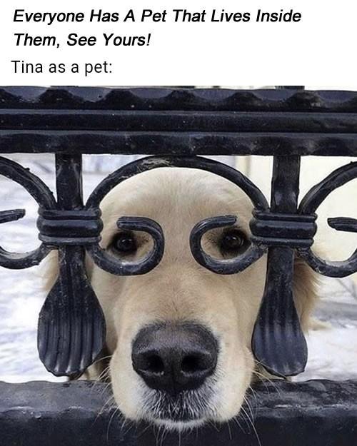 Tina Burkell's album, Timeline photos