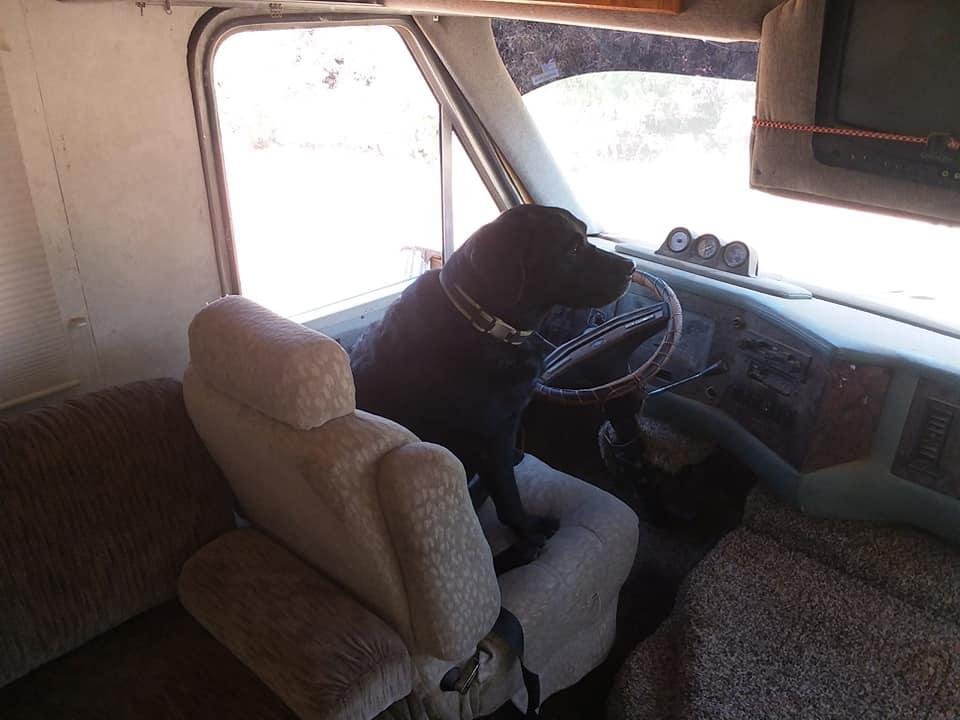 Larry Young's album, Mobile uploads