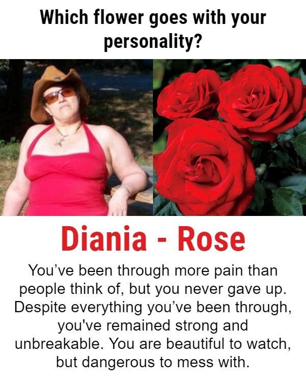 Diania Alt's album, Timeline Photos