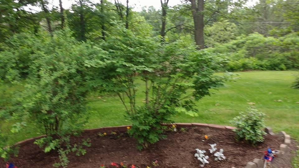Upgrading my yard