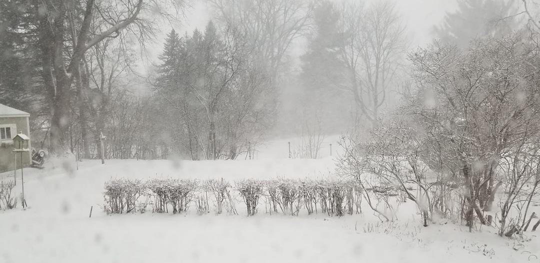 We will have a white Christmas after all.