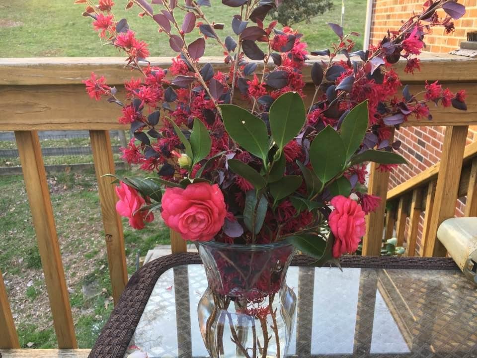 William Andrews' album, Timeline Photos