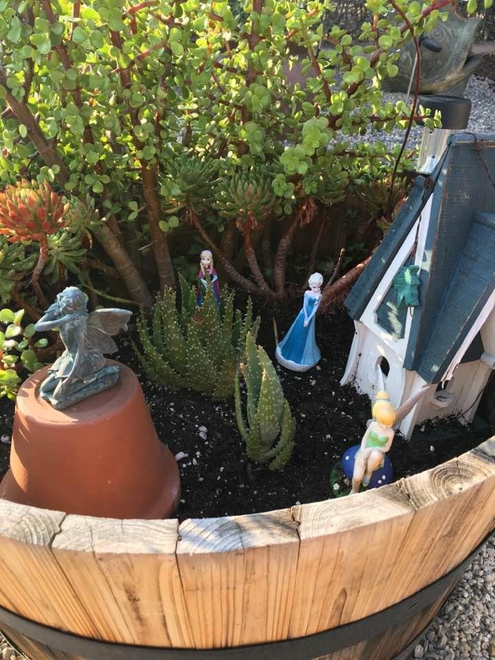 Fairy garden in the front yard