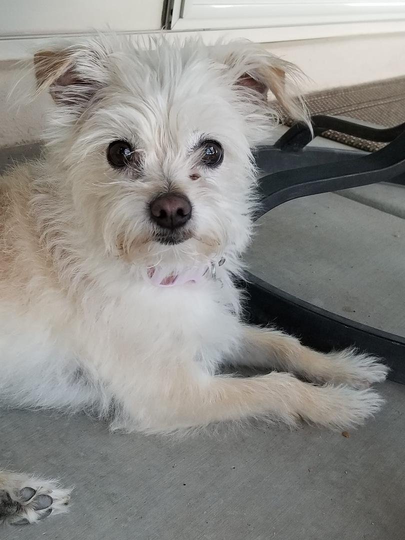 HAPPY 5TH BIRTHDAY MOLLY SUE!