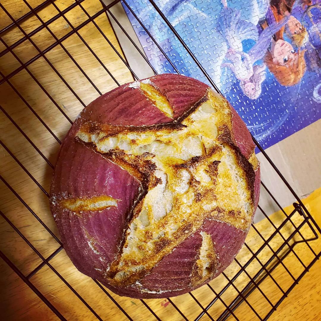 Purple sourdough. Cuz Evelyn loves purple!