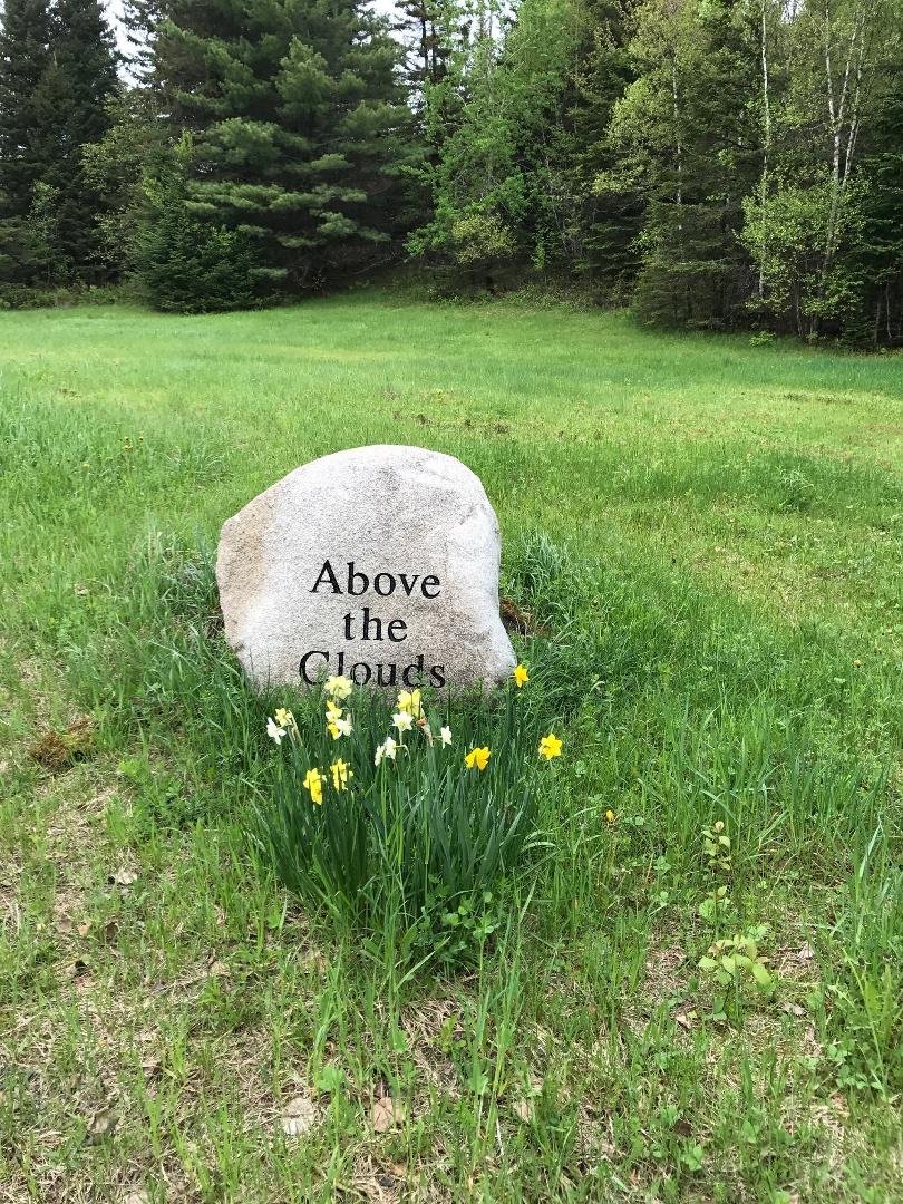 Mark Patton's album, Planting