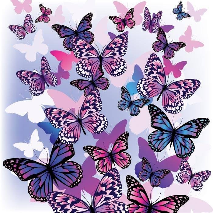 Ted Shaffer's album, Puzzled Hearts Photos