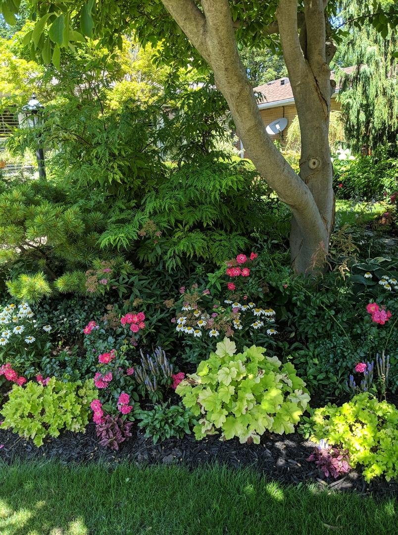 This is one section of our front garden. Very colourful.