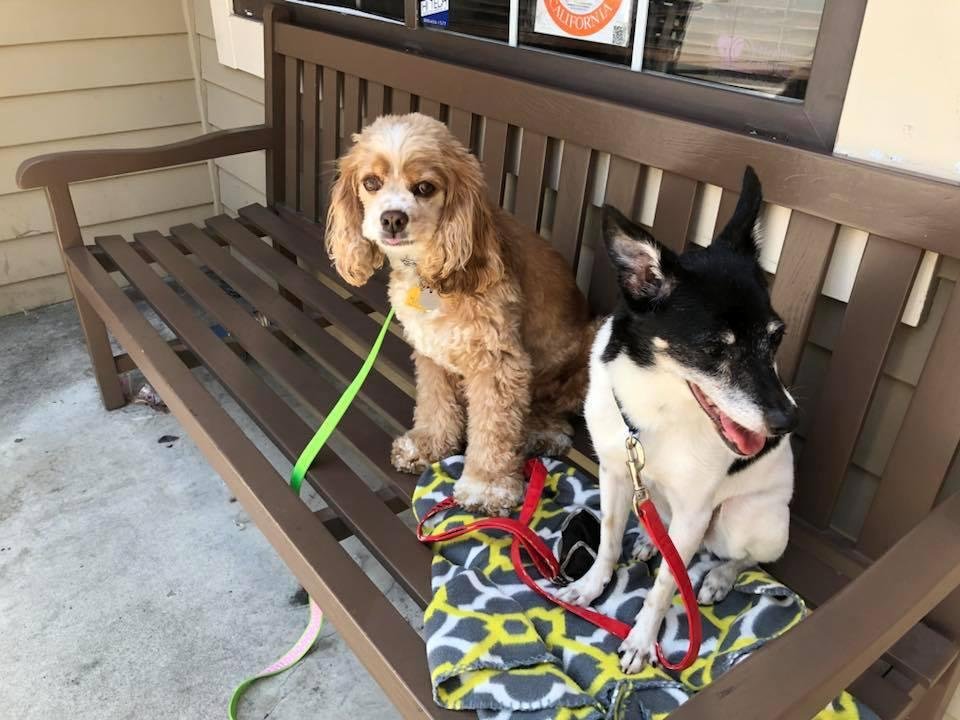 Waiting for the bus?