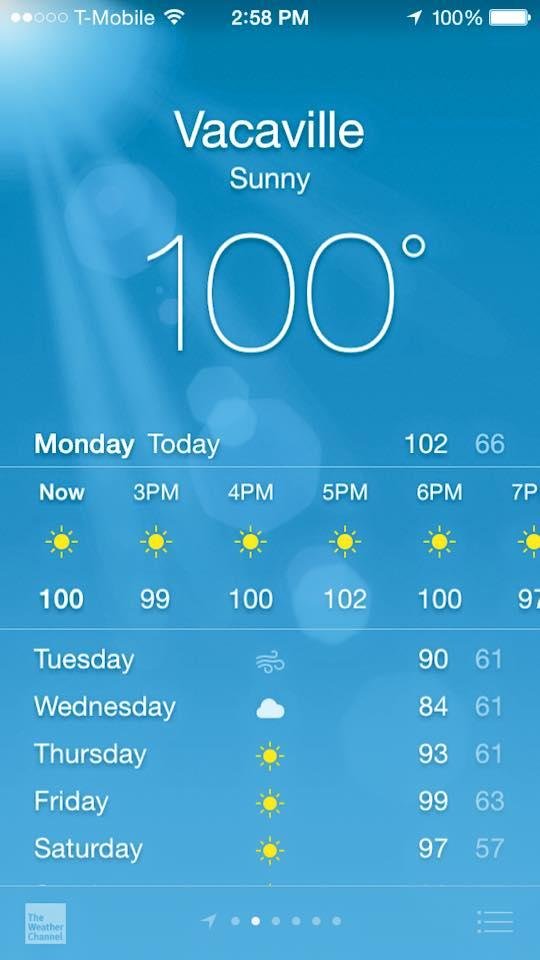 Ok, it's officially time to cook eggs on pavement.