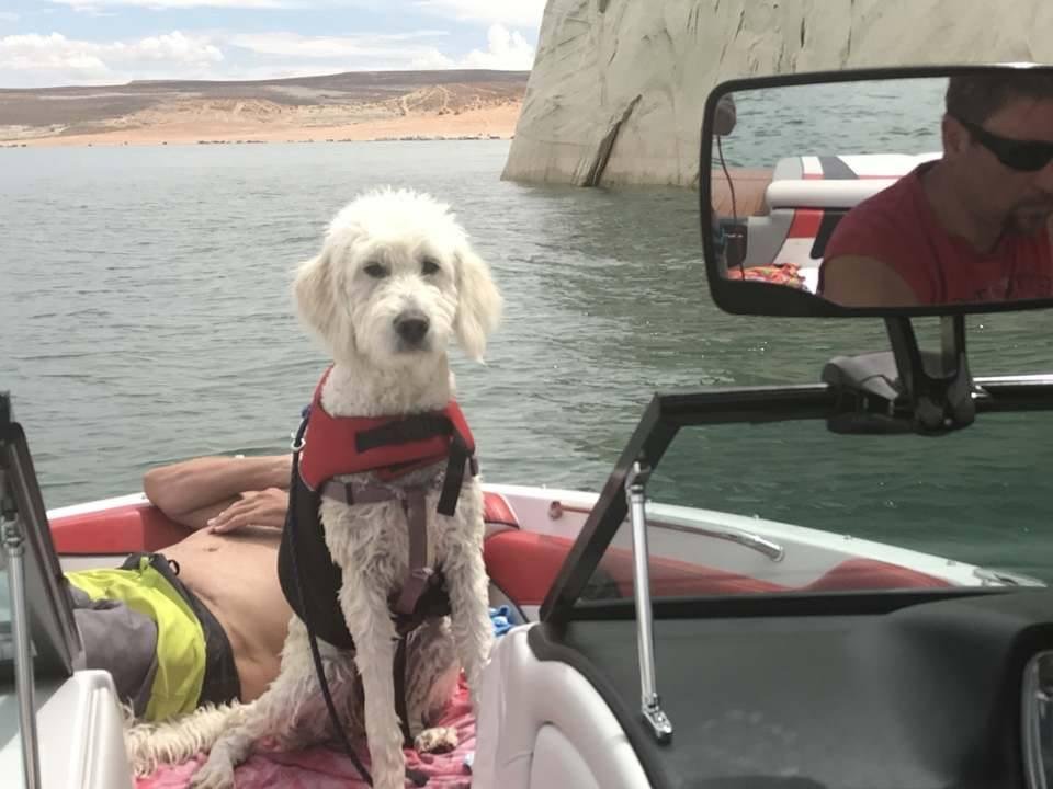Zoey's 1st Lake Powell trip