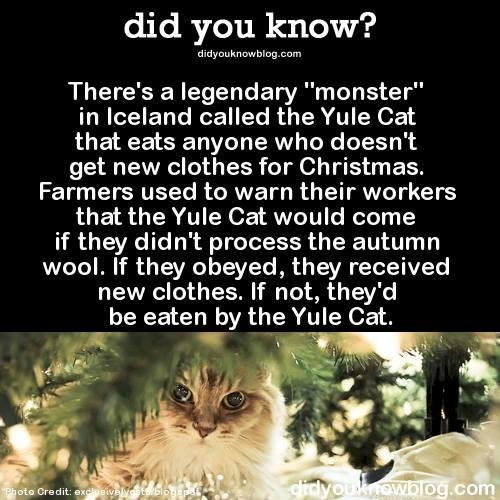 Yvette Lyons' album, Timeline Photos