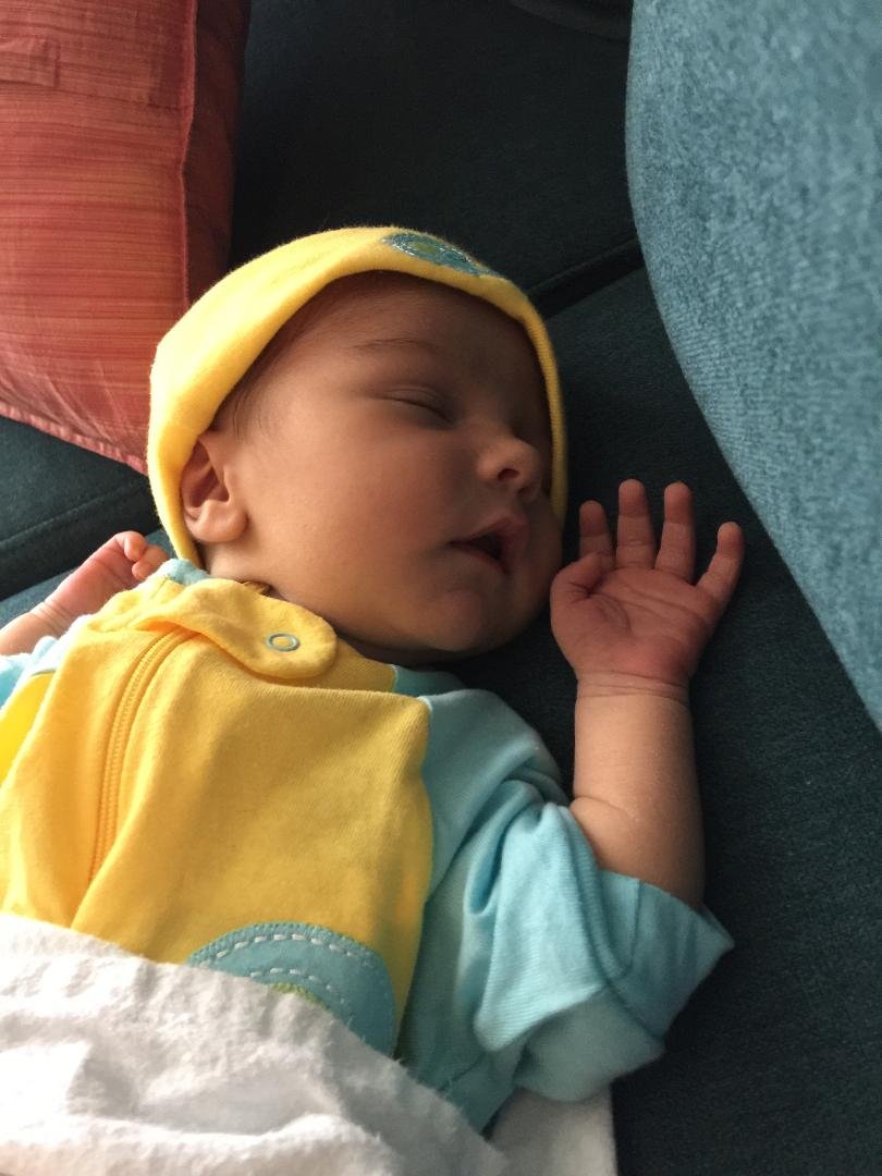 The newest photo of my precious Teddy !!