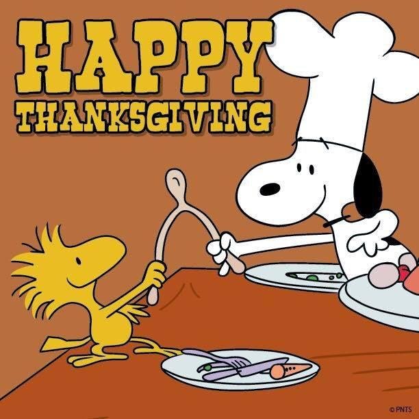 I hope all my friends and family have a wonderful Thanksgiving!! Love you all!!