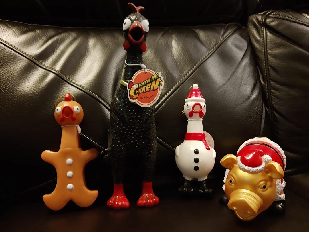 ASSEMBLING THE BAND FOR MY NEXT RECORDING PROJECT !!