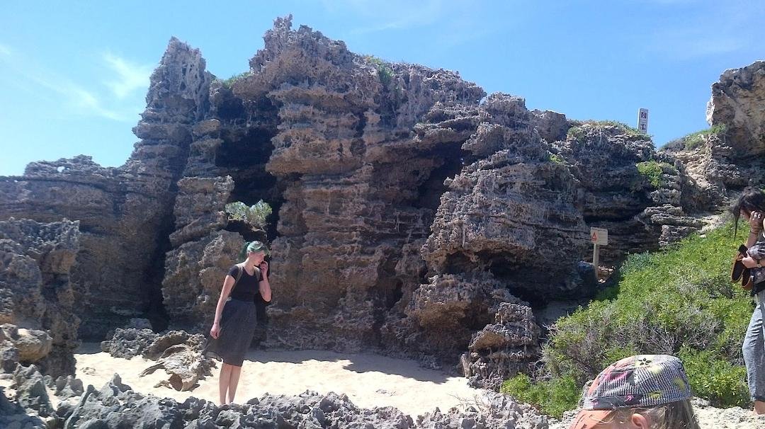Melanie exploring penguin island on her last day in Perth. We saw nesting pelicans, many interesting birds, and a skin. Very cool.