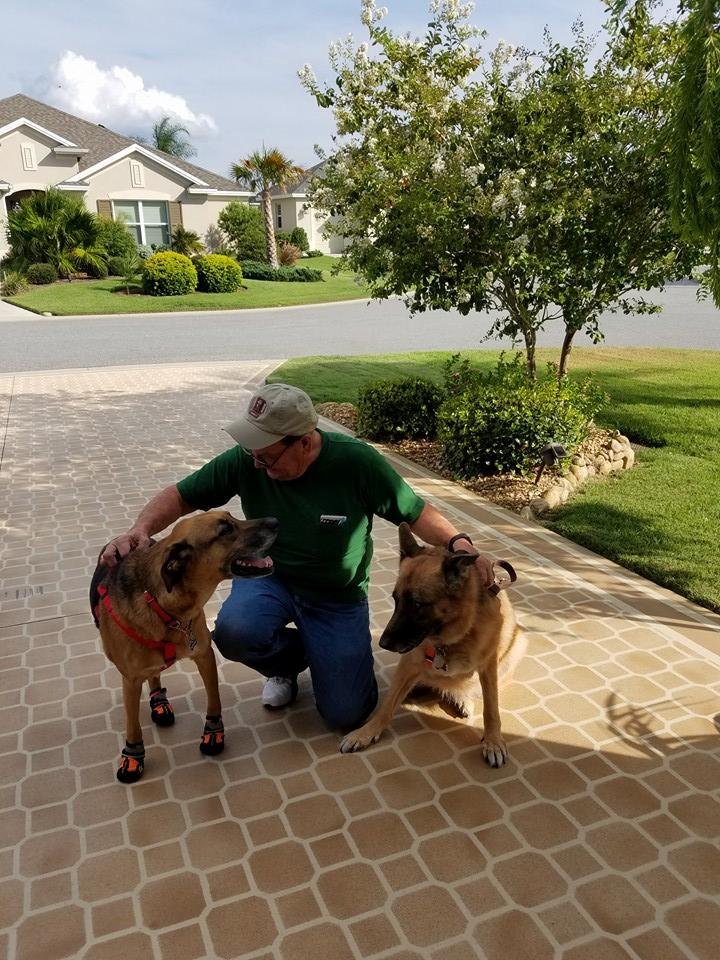 My guard dog
S