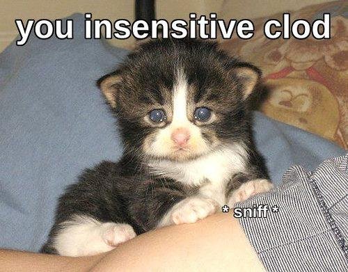 Thanks for the share!