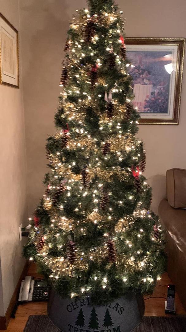 Merry Christmas from W6. All of our pine cone decorations are from Laurel Ridge.
