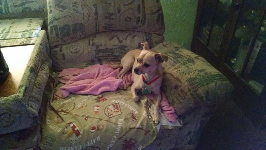 Amy Miashmash's album, Timeline Photos