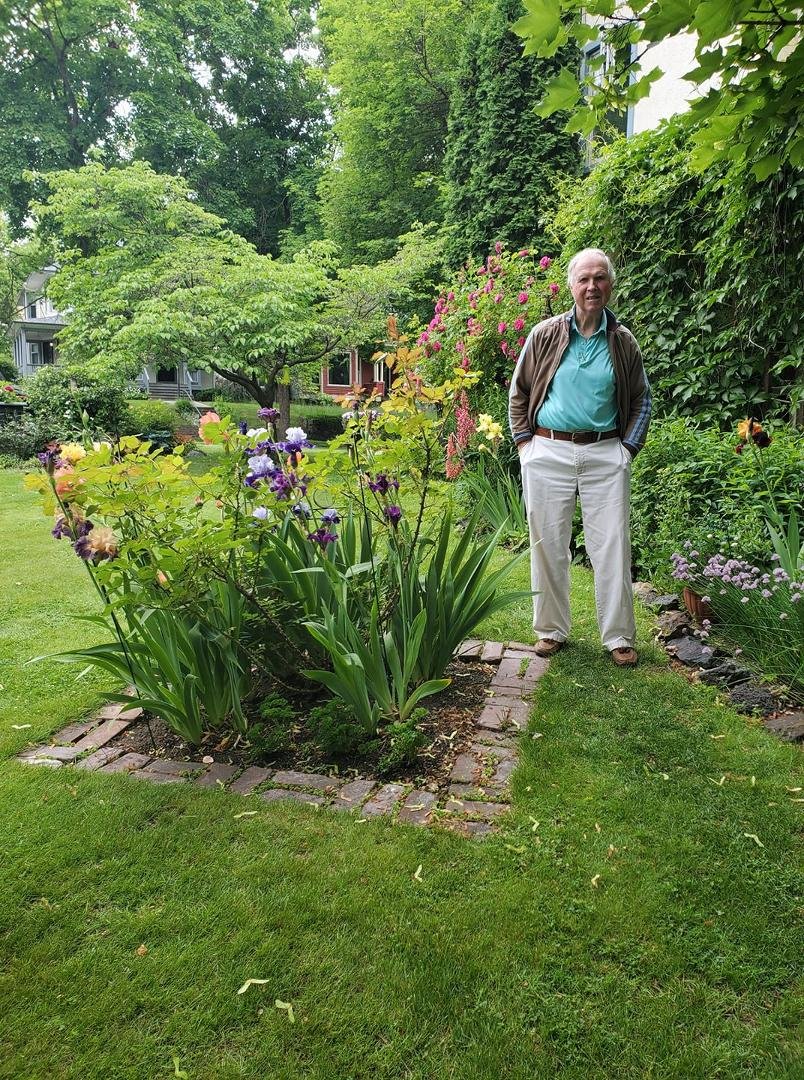 Some of the irises rising.
