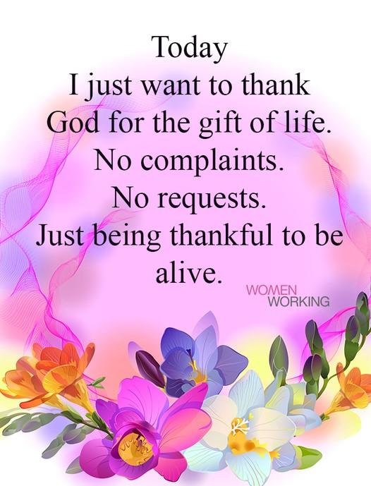 SUSAN GREENE's album, Timeline Photos