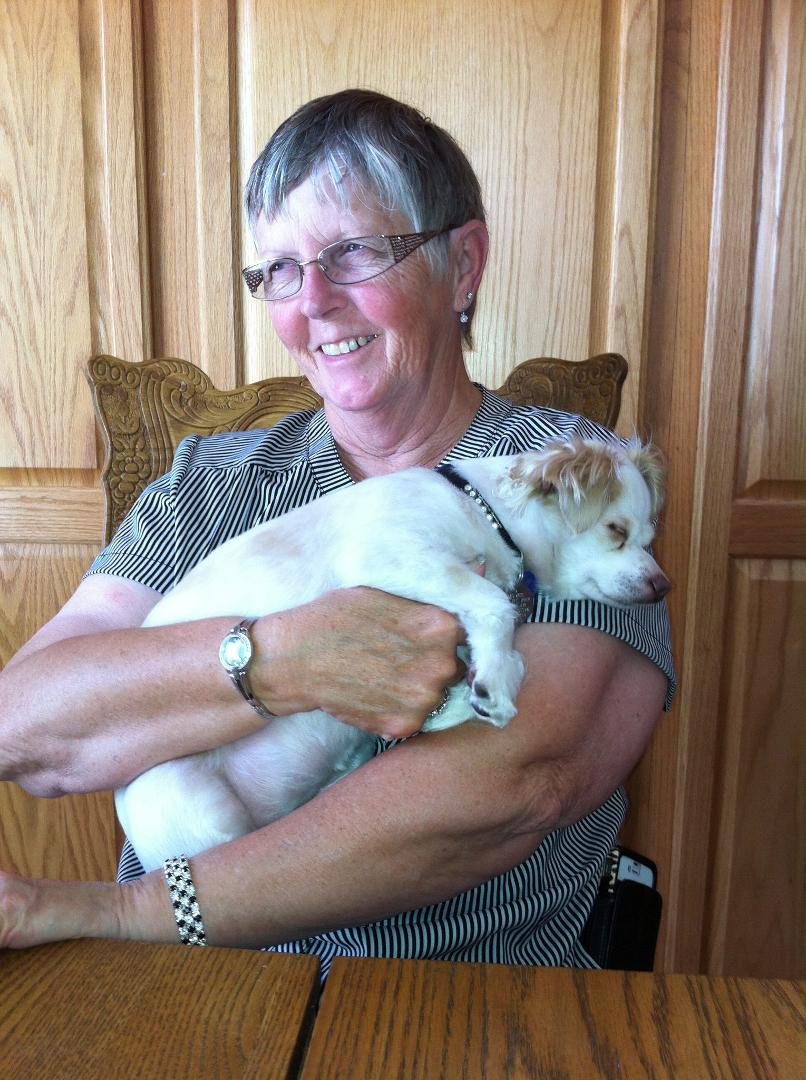 A Silly Goose and a Spoiled Dog 6/16/12