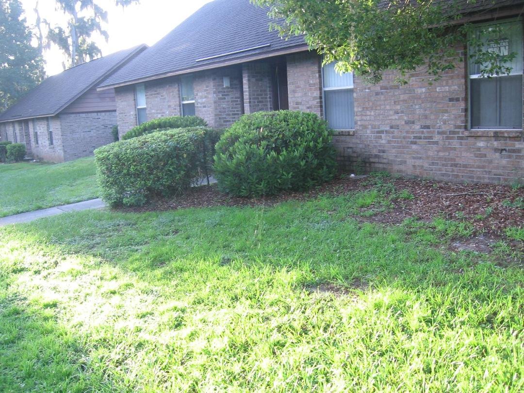 Gaint Spider Web in My Front Yard this morning.