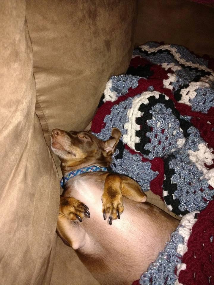 My lazy boy
