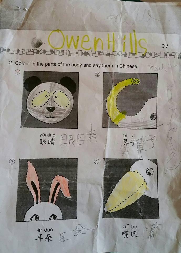 My son who is in kindergarten is learning to read, write, and speak both Spanish and Chinese. I'm impressed!