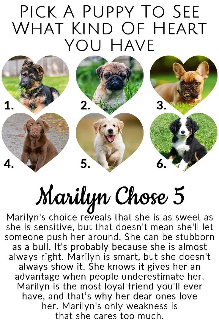 Marilyn Noyes' album, Timeline Photos