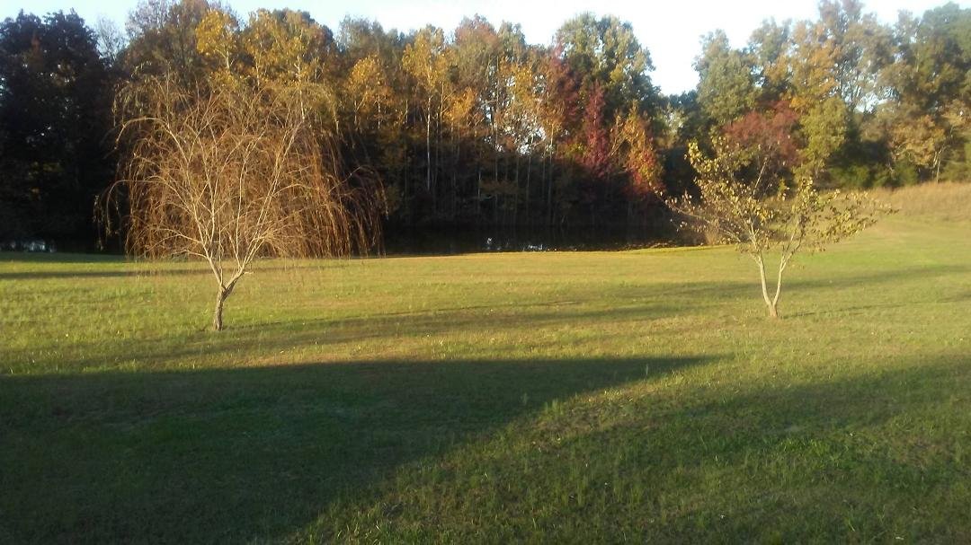 You can kind of see the fall colors.