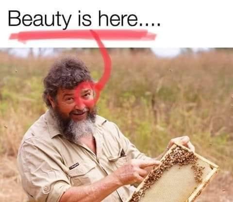 Yes, it is.